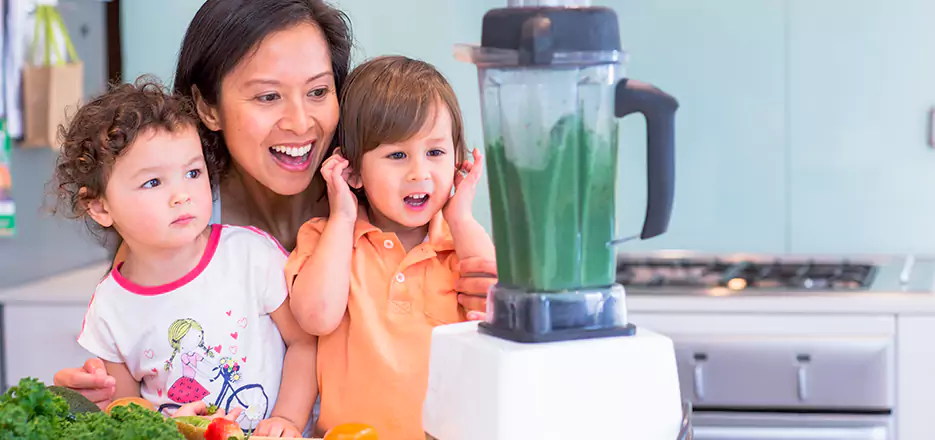 Juicer and Mixer Blender Repair in Leominster 