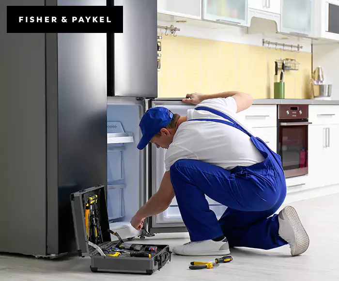Top-Rated Fisher & Paykel Appliance Experts: Your Brand Specialist in Leominster, MA